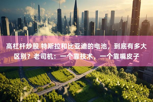 高杠杆炒股 特斯拉和比亚迪的电池，到底有多大区别？老司机：一个靠技术，一个靠嘴皮子